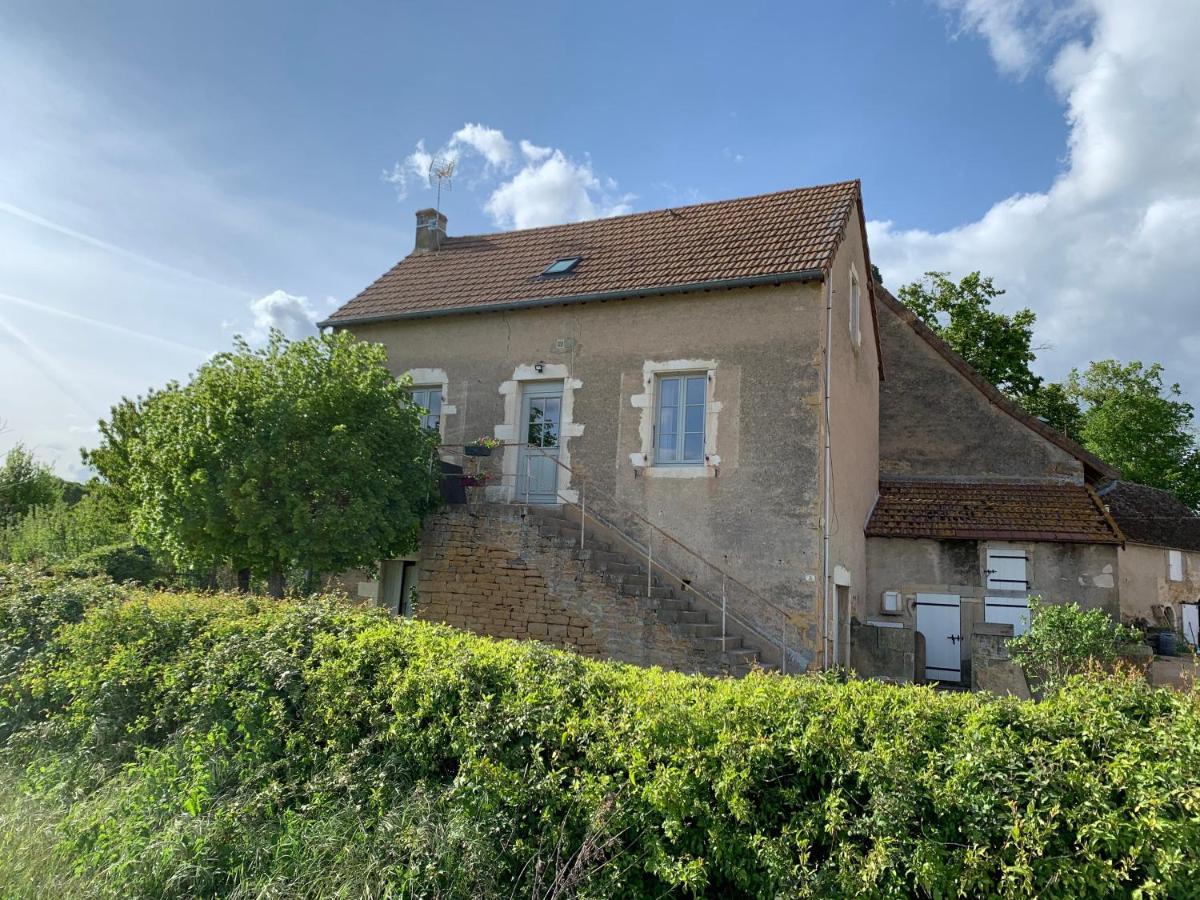 Rosey Chateau Du Mauny, Gites Et Chambres D'Hotes En Bourgogne מראה חיצוני תמונה