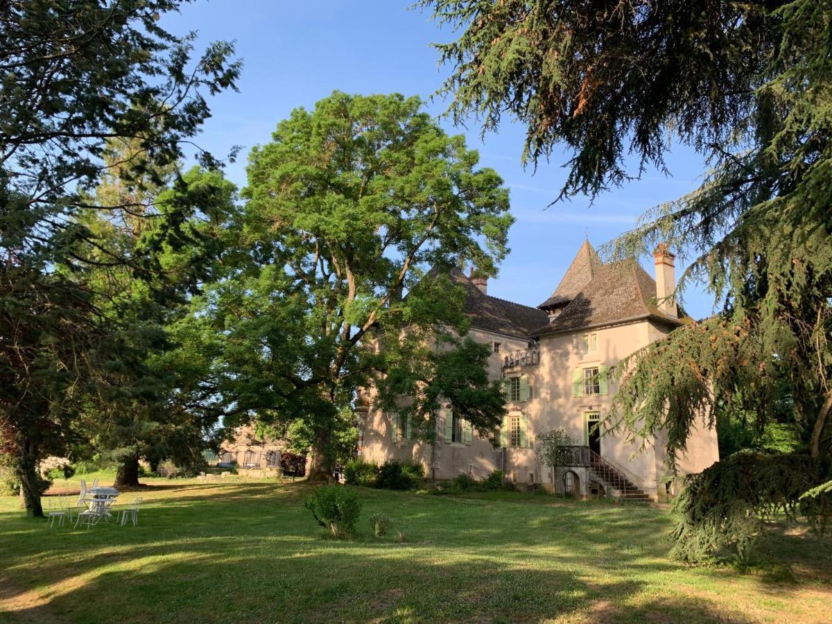 Rosey Chateau Du Mauny, Gites Et Chambres D'Hotes En Bourgogne מראה חיצוני תמונה