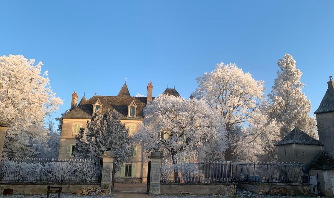 Rosey Chateau Du Mauny, Gites Et Chambres D'Hotes En Bourgogne מראה חיצוני תמונה