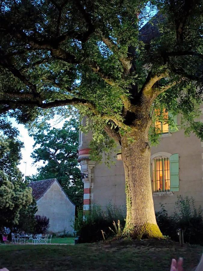 Rosey Chateau Du Mauny, Gites Et Chambres D'Hotes En Bourgogne מראה חיצוני תמונה