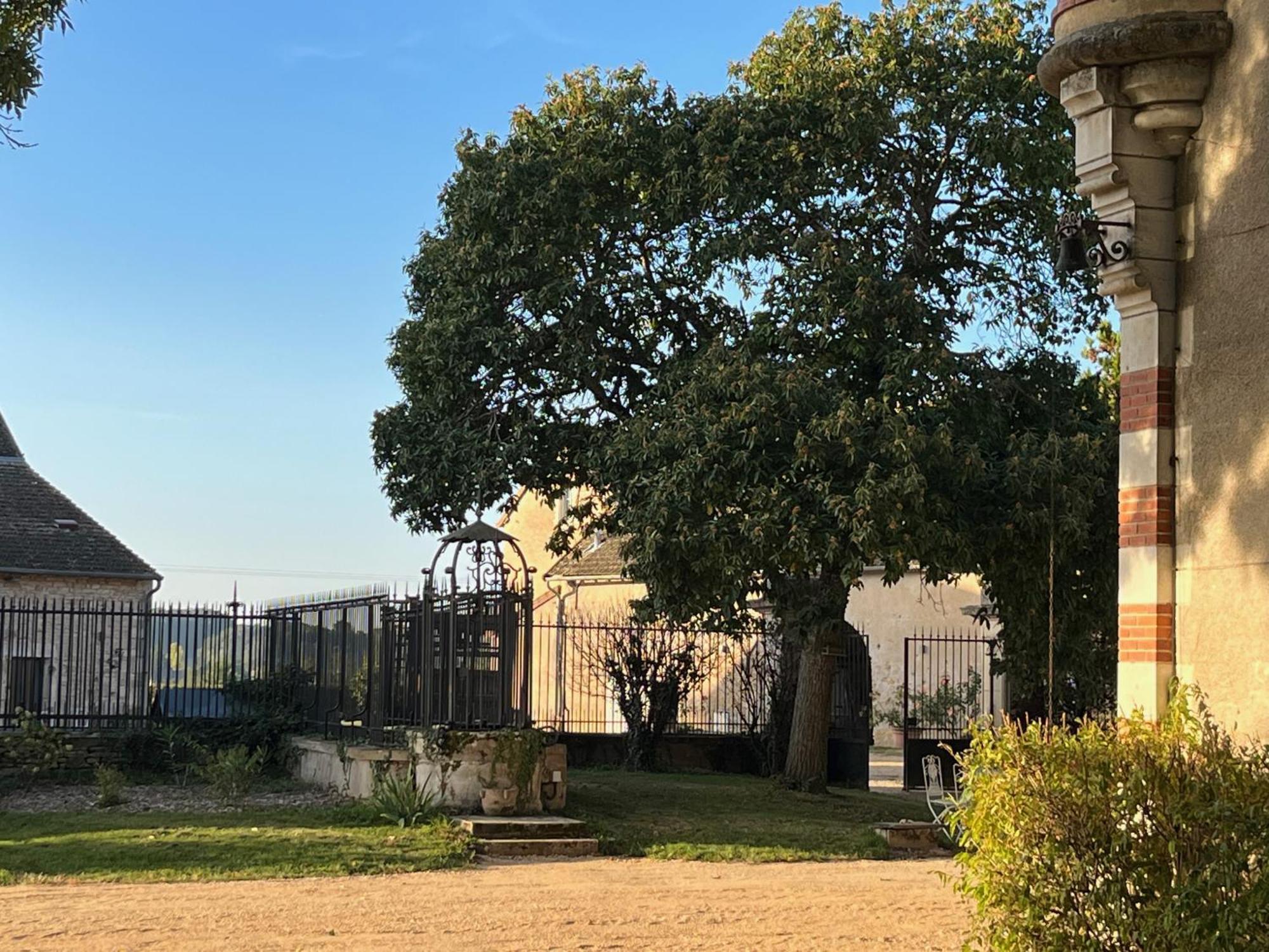 Rosey Chateau Du Mauny, Gites Et Chambres D'Hotes En Bourgogne מראה חיצוני תמונה